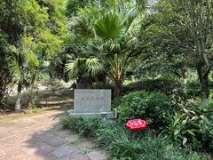 -张坝桂圆林公园