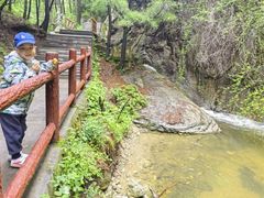 -王顺山国家森林公园