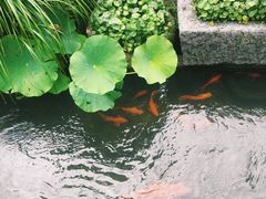 -前童古镇