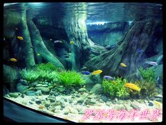 海洋世界-福州罗源湾海洋世界旅游区