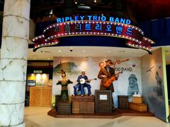 -信不信由你博物馆