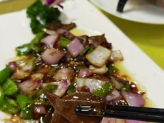 -丁老爷子苏香圆