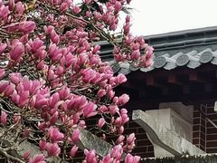 -郑和公园