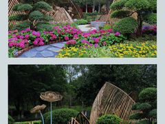 -广州市白云山风景名胜区