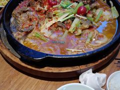 -老板恋上鱼(恒隆广场店)