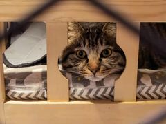 -有才叔北京时间涮肉(紫薇尚层店)