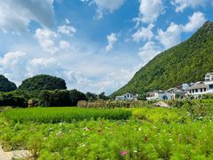 -万峰林风景区