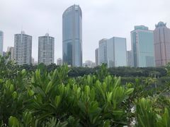 -万绿园