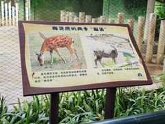 -南宁市动物园