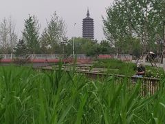 -西海子公园