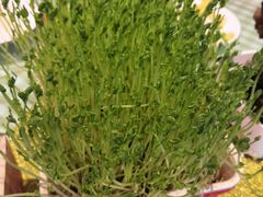 -番食园鲜食火锅(高新店)