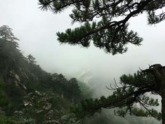 -罗田天堂寨风景区