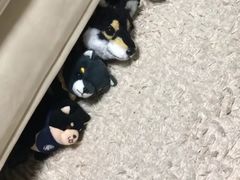 -COSTA COFFEE(哈尔滨凯德学府店)