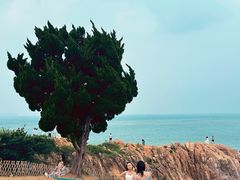 -小麦岛公园