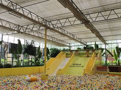 -南宫五洲植物乐园