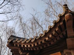 -中国农业博物馆