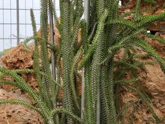 -南通洲际绿博园