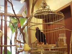 -杭州香格里拉饭店