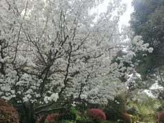 -石湖景区