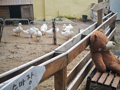 -HERRE·FARM 赫尔露营农场·团建聚会包场