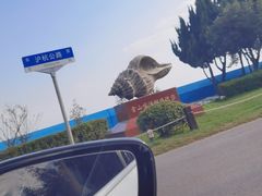 -金山嘴渔村