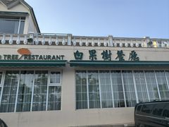 -青岛海景花园大酒店·白果树餐厅青岛菜