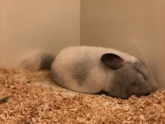 -龙猫仔乐园(惠福东路店)