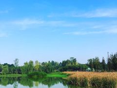 -白鹭湾湿地公园