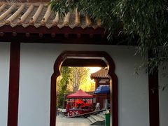 -神州牡丹园