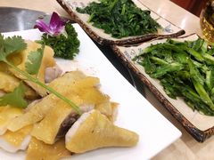 白切文昌鸡-墨脱石锅椰子鸡•香草鸭•东山羊(大东海店)