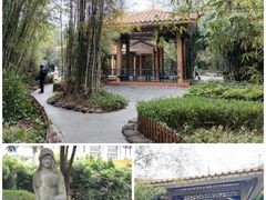 -禅城中山公园