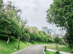 -沐仙湖湿地公园