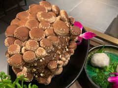 有机松香菇-捞王锅物料理(济南万象城店)