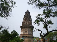 -云岗森林公园