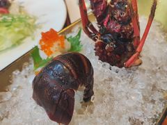 -Mr·Fish鱼鲜生海鲜放题(银泰in99店)