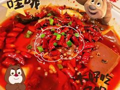 -大鸭梨烤鸭(望京店)