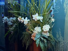 -陆琴脚艺·足浴·SPA(夫子庙店)