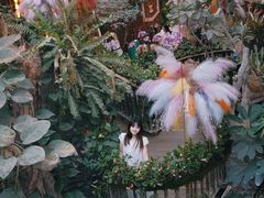 -正佳雨林生态植物园