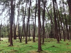 -硗碛藏寨·神木垒景区