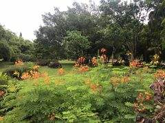 -红色娘子军纪念园