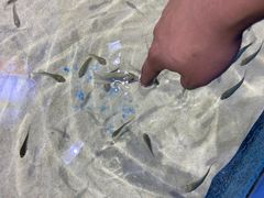 -顺德南宏海立方海洋公园