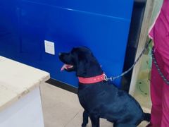 -芭比堂爱心动物医院(柯桥康爱分院)