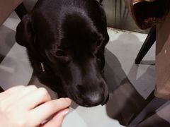 -HIHE Bistro·Oyster Bar(华熙live店)