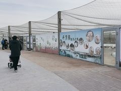 -盐城丹顶鹤湿地生态旅游区