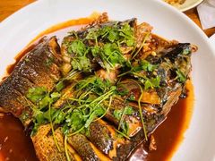 招牌鱼头-卯时·龙光雅宴·精致锡帮菜(惠山古镇店)