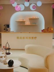 -韩芙莱芳疗spa健康管理