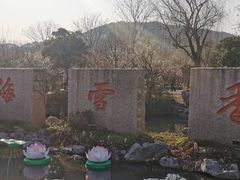 -香雪海