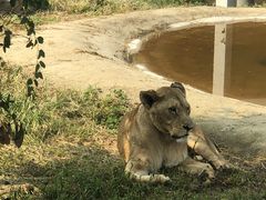 -西安秦岭野生动物园