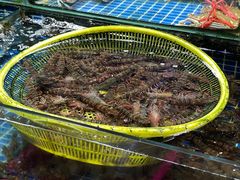 -板桥海鲜广场(文明东店)