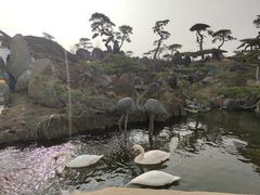 -罗红摄影艺术馆